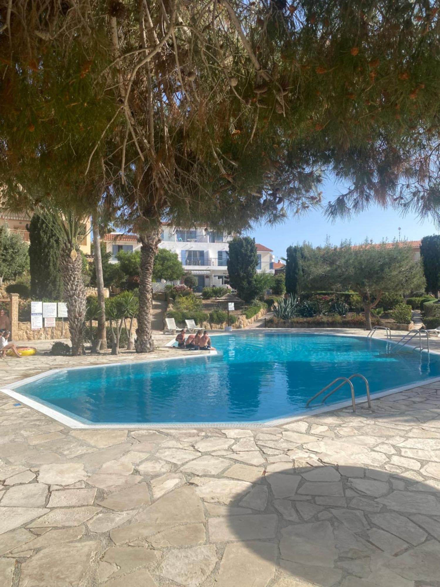 Newly Renovated- Regina Gardens 1, Venus Beach 500 M, Sea&Sunsets View, License Ooo7141 파포스 외부 사진