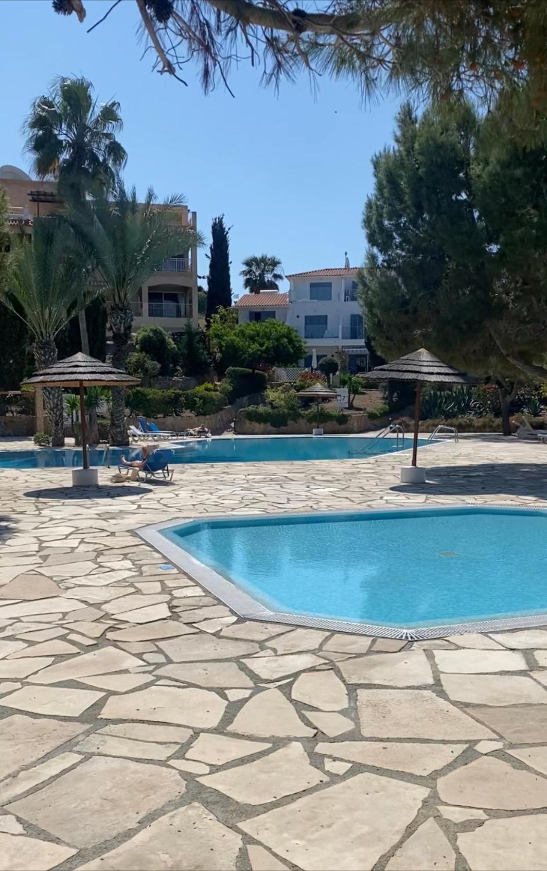 Newly Renovated- Regina Gardens 1, Venus Beach 500 M, Sea&Sunsets View, License Ooo7141 파포스 외부 사진