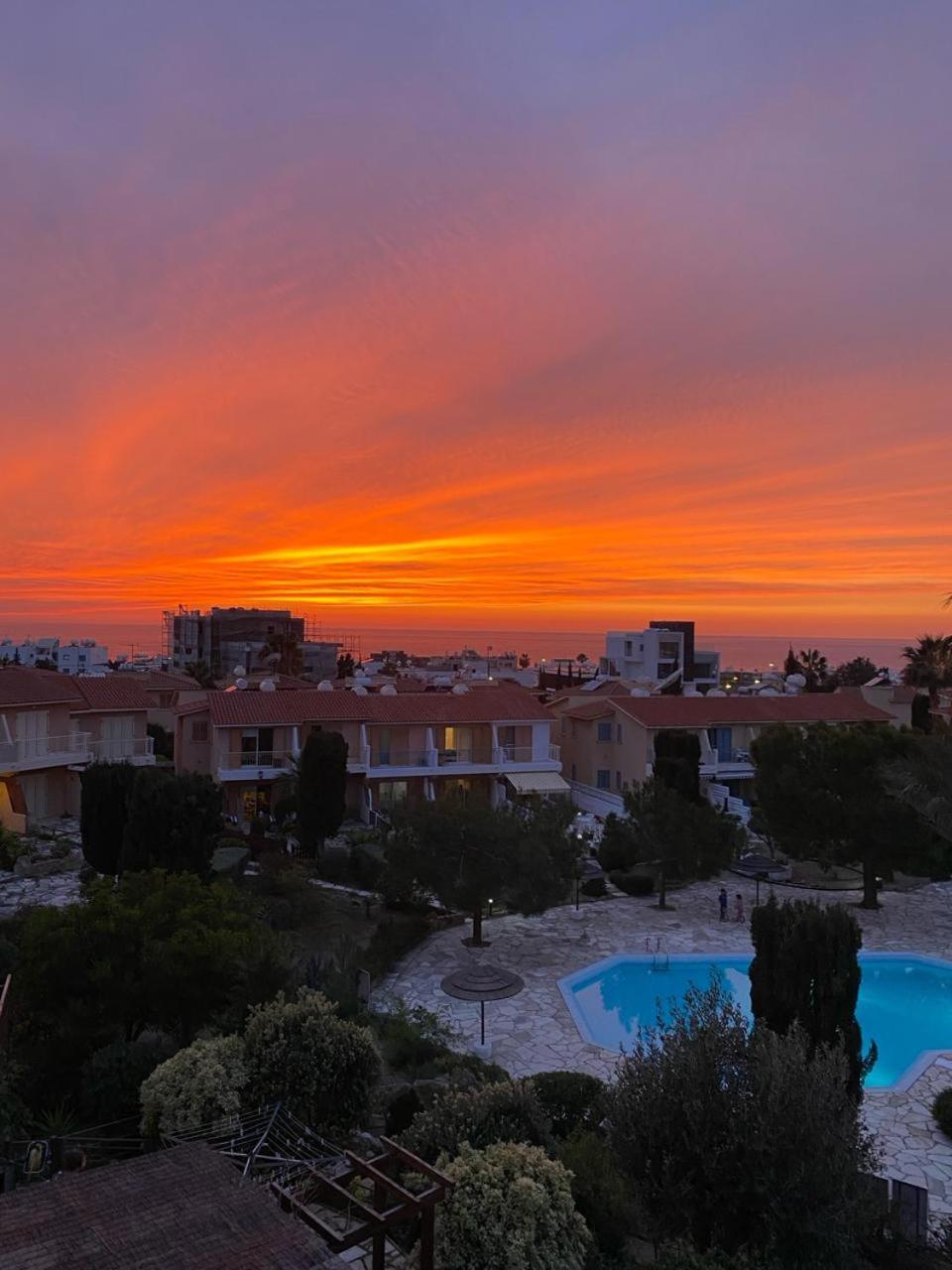 Newly Renovated- Regina Gardens 1, Venus Beach 500 M, Sea&Sunsets View, License Ooo7141 파포스 외부 사진