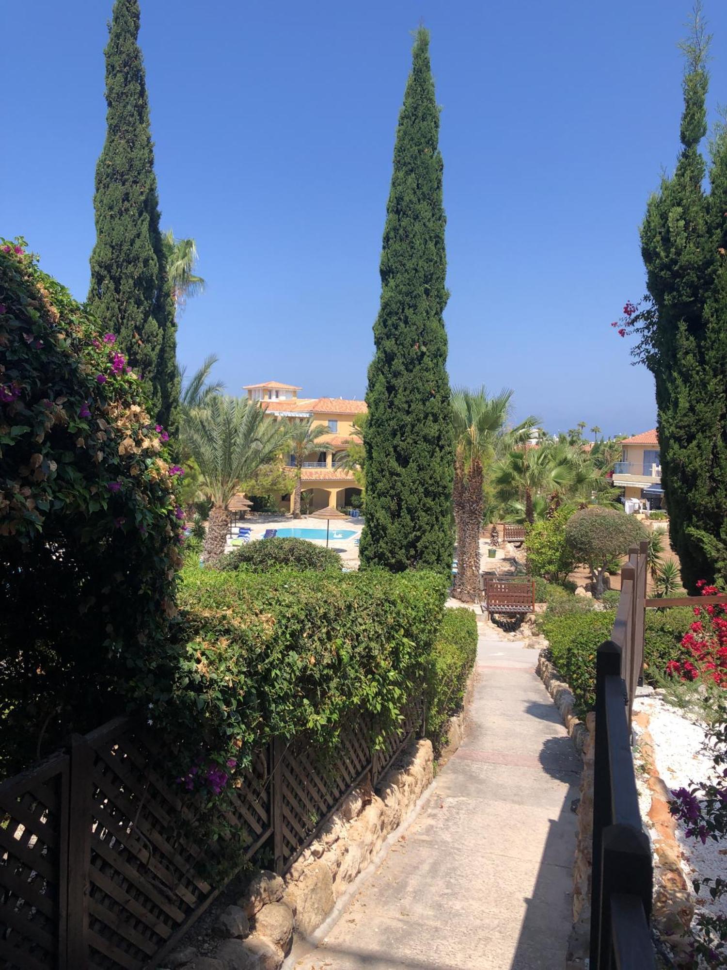 Newly Renovated- Regina Gardens 1, Venus Beach 500 M, Sea&Sunsets View, License Ooo7141 파포스 외부 사진